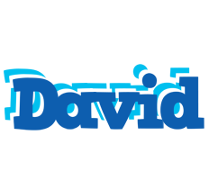 david business logo