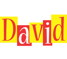 david errors logo