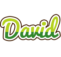 david golfing logo