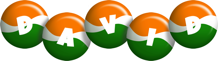 david india logo