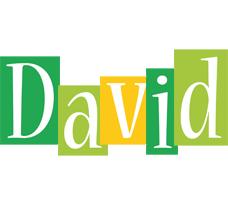david lemonade logo