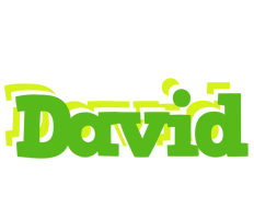 david picnic logo