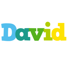 david rainbows logo