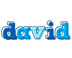 david sailor logo