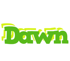 dawn picnic logo