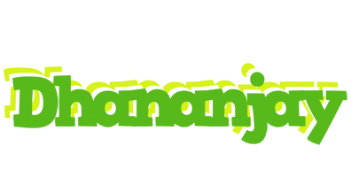 dhananjay picnic logo
