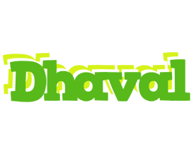 dhaval picnic logo