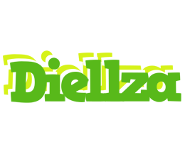 diellza picnic logo