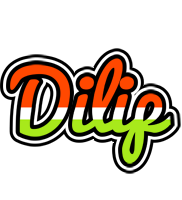 dilip exotic logo
