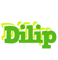 dilip picnic logo