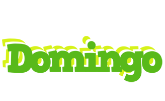 domingo picnic logo