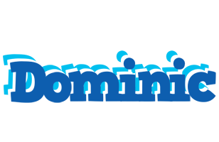 dominic business logo