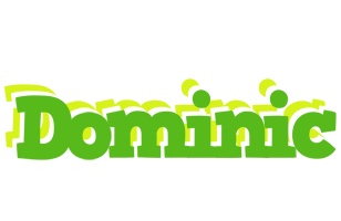 dominic picnic logo