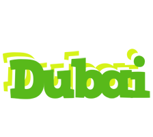 dubai picnic logo