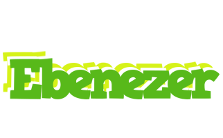 ebenezer picnic logo