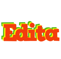 edita bbq logo