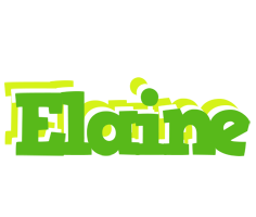 elaine picnic logo