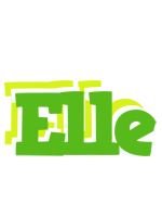 elle picnic logo