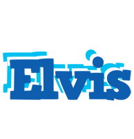 elvis business logo