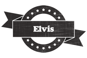 elvis grunge logo