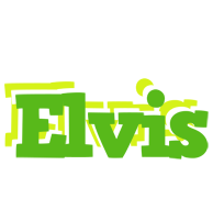 elvis picnic logo