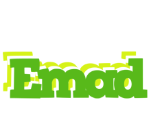 emad picnic logo