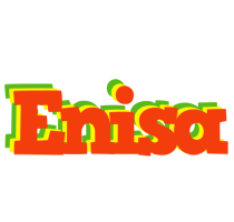 enisa bbq logo