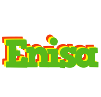 enisa crocodile logo