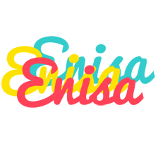 enisa disco logo