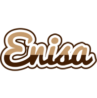 enisa exclusive logo