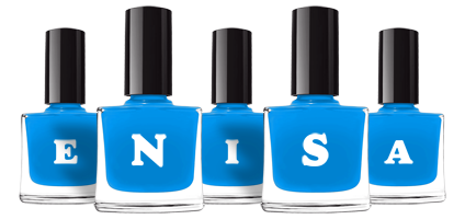 enisa glossy logo