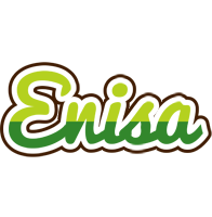 enisa golfing logo