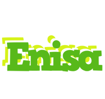 enisa picnic logo