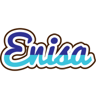 enisa raining logo