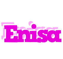 enisa rumba logo