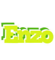 enzo citrus logo