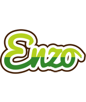 enzo golfing logo