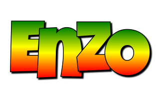 enzo mango logo