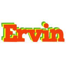 ervin bbq logo