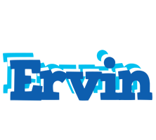 ervin business logo