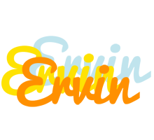 ervin energy logo