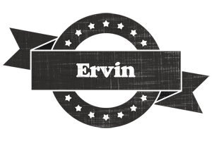 ervin grunge logo