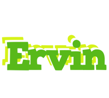 ervin picnic logo