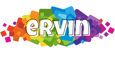 ervin pixels logo