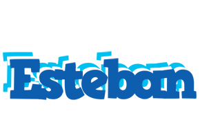 esteban business logo