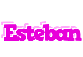 esteban rumba logo