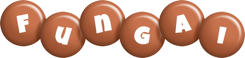 fungai candy-brown logo