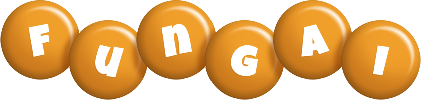 fungai candy-orange logo