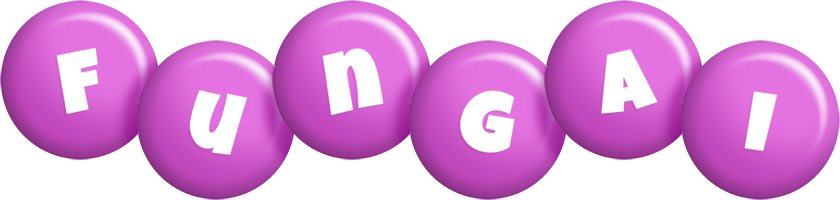 fungai candy-purple logo