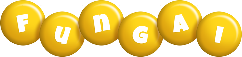 fungai candy-yellow logo